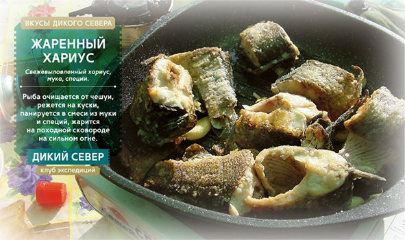 file/osnovnoe_menyu/open-food-2016/1-den_-1.jpg